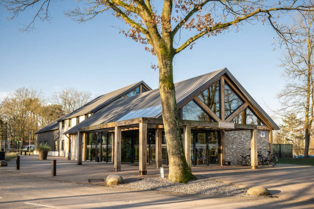 Moderne gebouwingang bij helder weer in bosrijke omgeving.